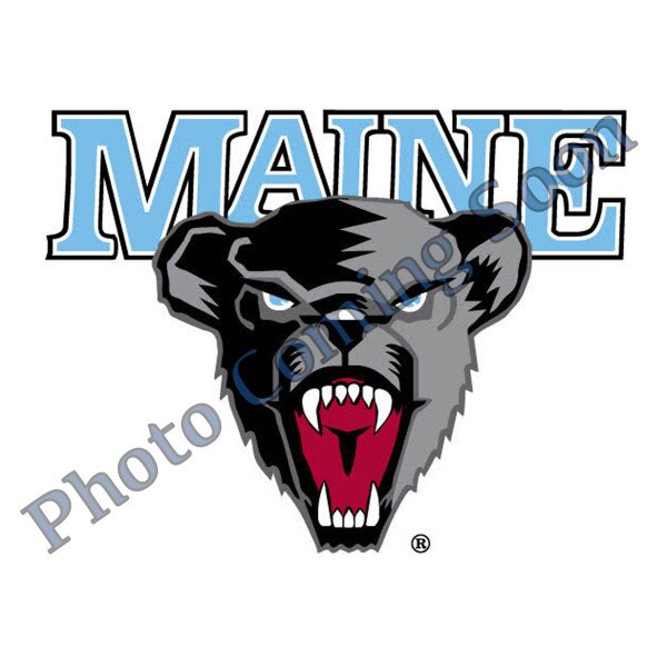 Novus Maine Swish Maine Black Bear Hoodie